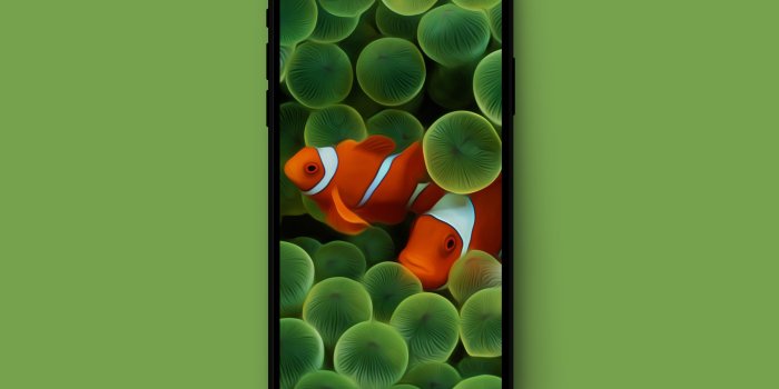 2992x2282 Original Apple wallpapers optimized for iPhone X