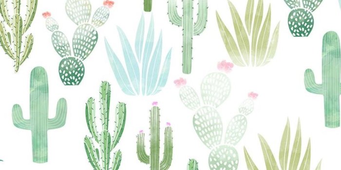 1154x1763 I frickin' love cacti wallpaper | Wallpapers in 2019 | Free iphone