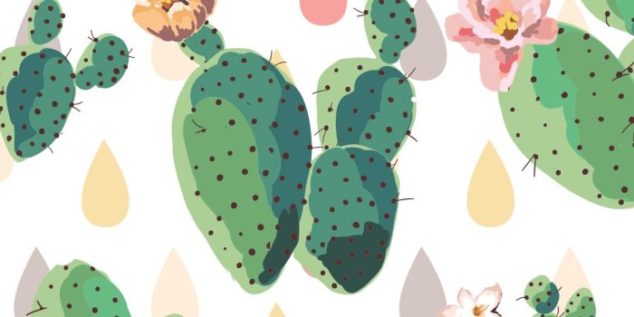 1242x2208 Mobile iphone cute cactus wallpapers. | mobile wallpapers. in 2019