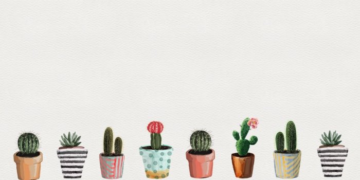 1920x1080 Cactus Wallpaper (52+ images)