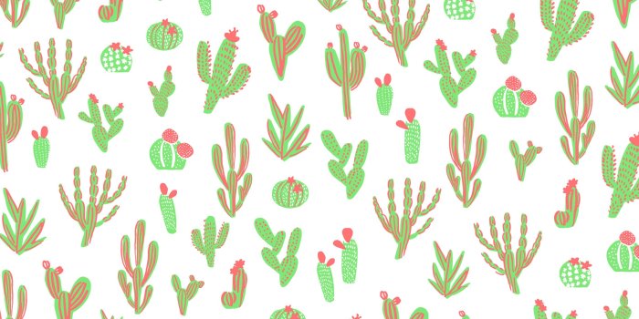 2400x1603 Cactus Wallpapers - Top Free Cactus Backgrounds - WallpaperAccess