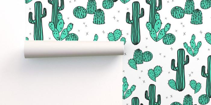 1024x1024 cactus //succulents house plants plant cute on Isobar by