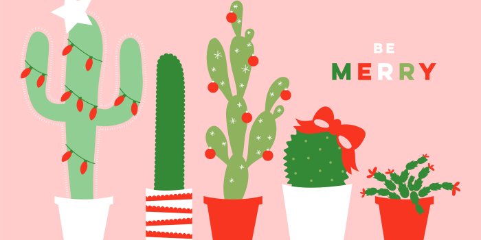 5334x3001 December 2017 Christmas Cactus Calendar Wallpaper - Sarah Hearts