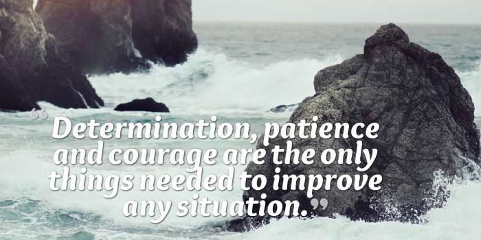 1740x2490 1740×2490