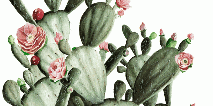 1109x805 Prickly Pear Tapestry