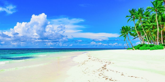 5120x2880 Wallpaper Beach, palm trees, blue sky, summer, tropical 5120x2880