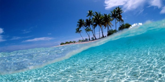 1256x706 Blue Sky Trees Beach Computer Desktop Wallpapers Hd | Free Wallpapers