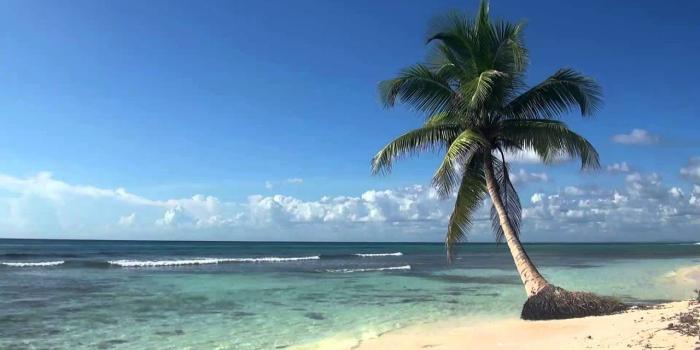 1280x720 ♥♥ Relaxing 3 Hour Video of Tropical Beach with Blue Sky White Sand and  Palm Tree