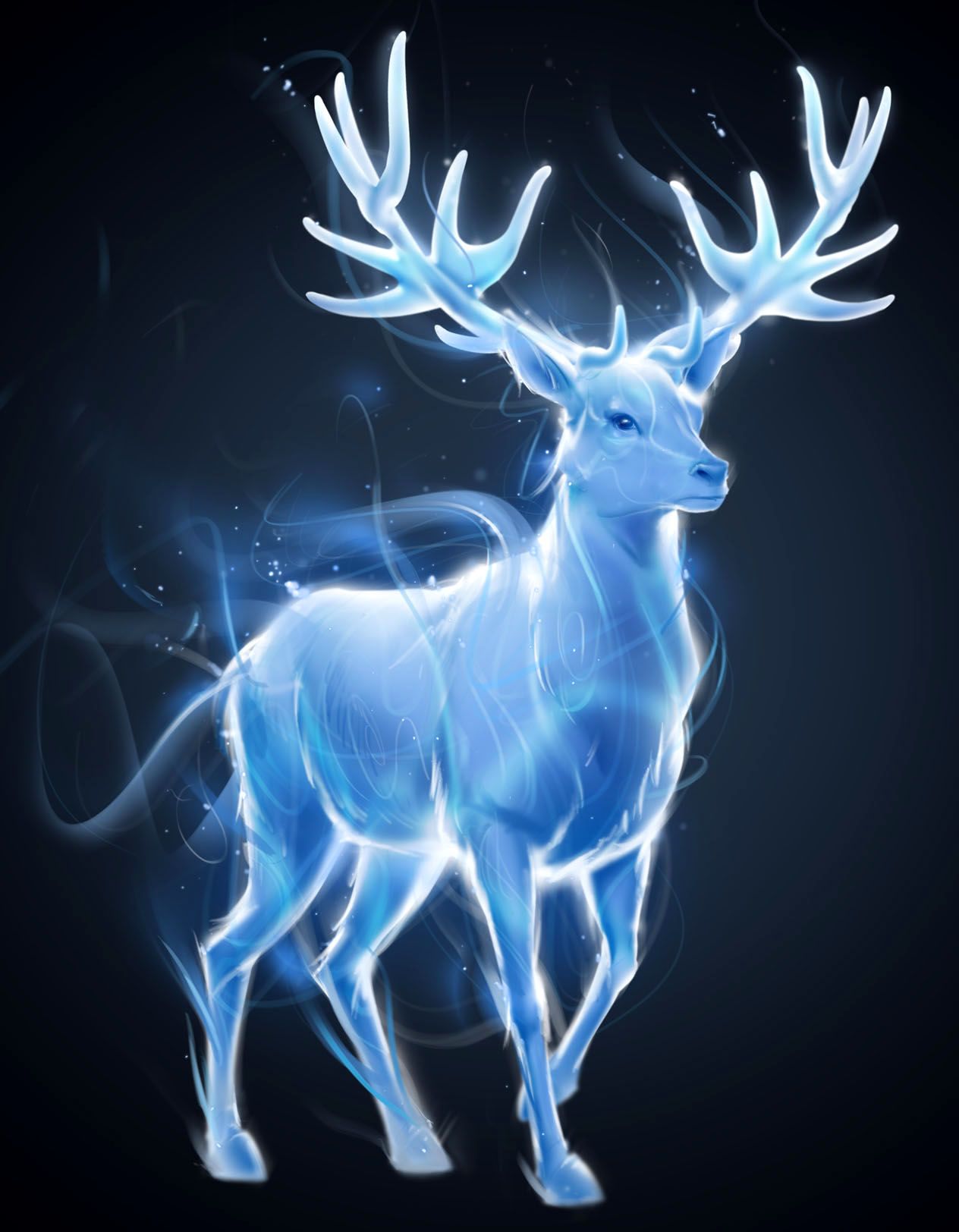 1264x1624 Patronus Charm in 2019 | Harry Potter Activity Books and Kits