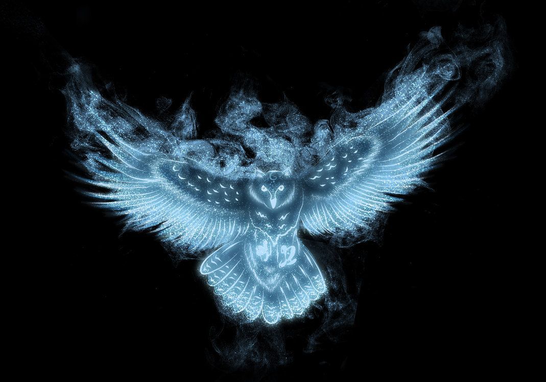 1069x748 Harry Potter Day 16 – My Patronus | Harry Potter | Harry potter day