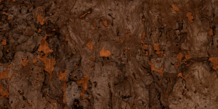 1000x1000 MPC112 - Natural Cork On Metallic Wallpaper - Discount Wallcovering