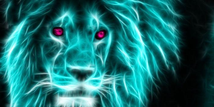 1024x768 Neon Animals Wallpapers