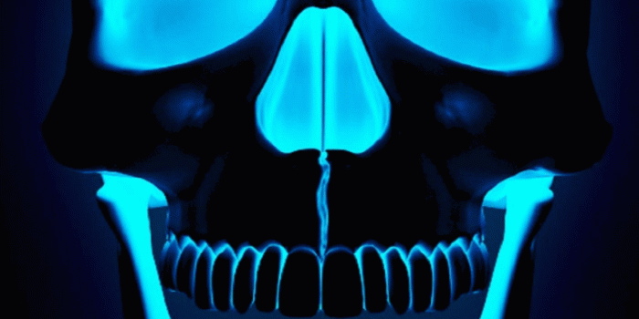 768x1280 Neon Glowing Skull Wallpaper | Skull in 2019 | Wallpaper iphone neon