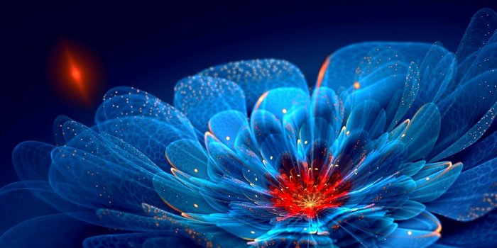1920x1200 Wallpapers Of The Day: Fantastic Neon Flowers | 1920x1200 Fantastic