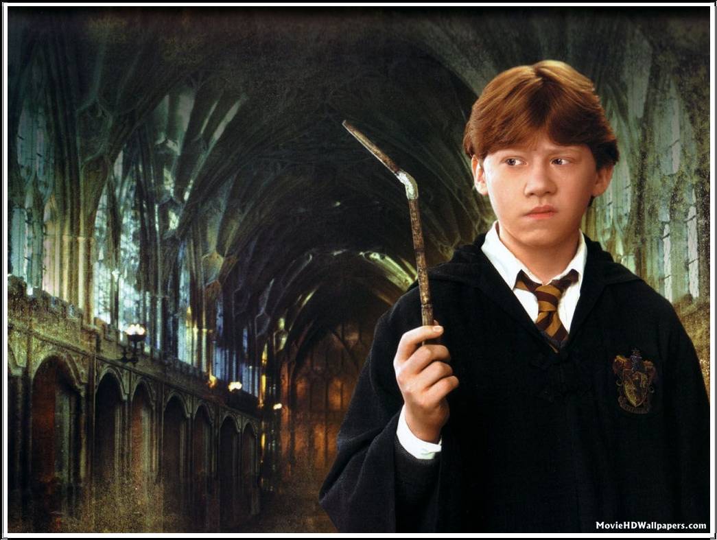 1045x787 Minerva Mcgonagall Wallpaper - Marcpous