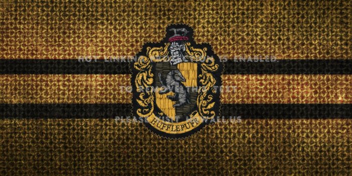 1600x1089 harry potter hogwarts hufflepuff crest best widescreen background