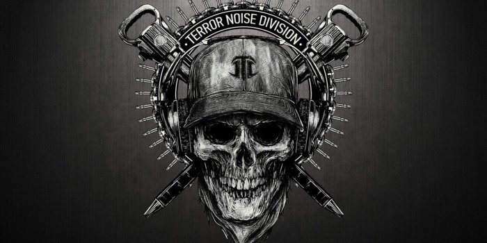 2048x1152 Black and White Skulls Wallpaper (59+ images)
