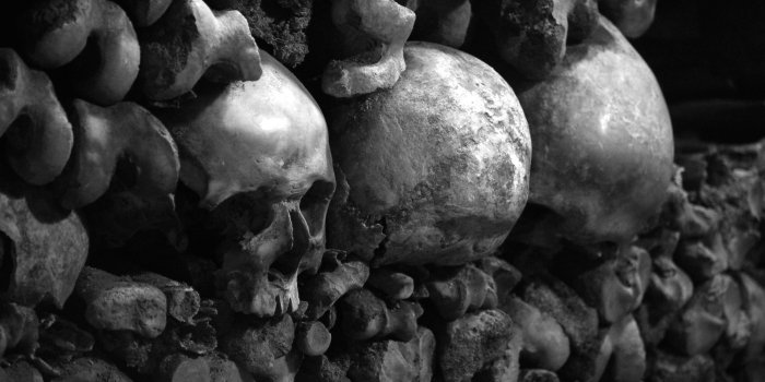 3008x2000 DSC100207851.jpg, HD Backgrounds Evil Dark Skull Wallpaper