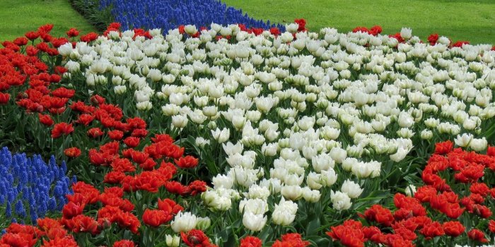 2048x1420 Garden of red and white flowers HD wallpaper | Wallpaper Flare