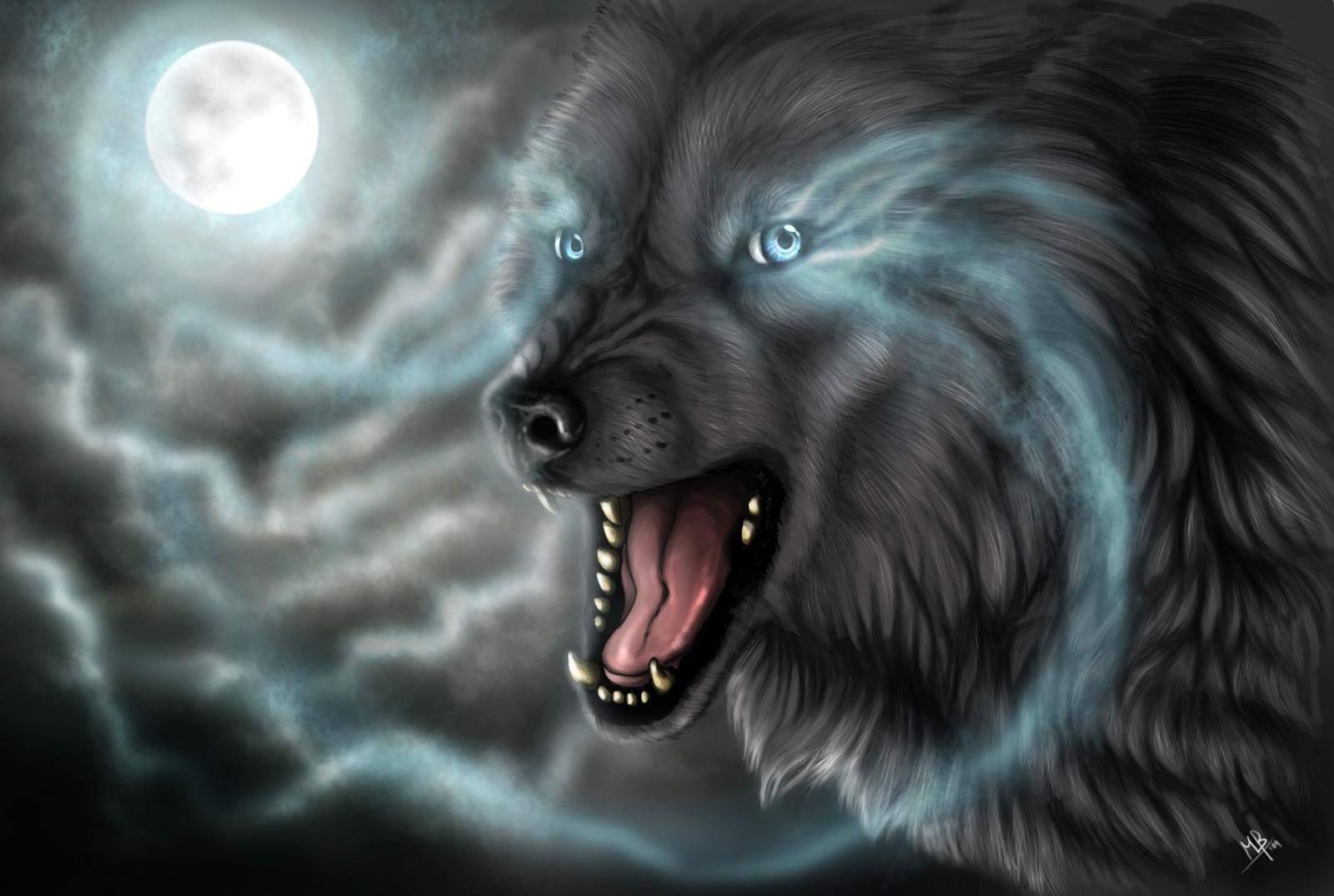 2799x1880 Dark Wolf Wallpapers | Images Wallpapers in 2019