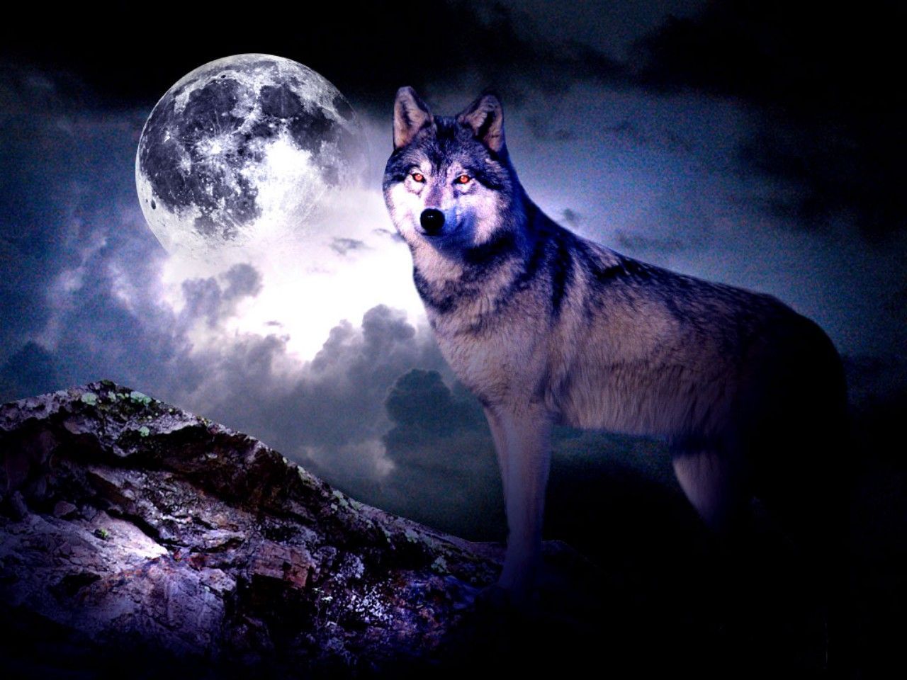 1280x960 wolf wallpaper for walls | download wolf night wallpaper download