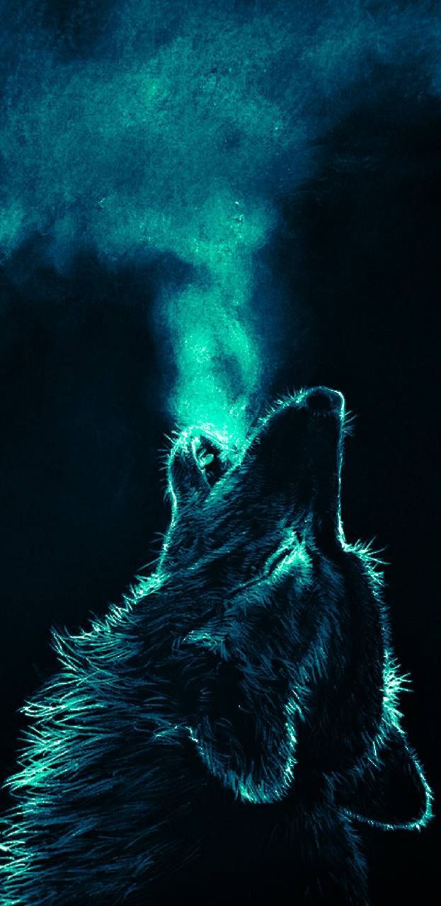 623x1280 Laura Rogers on Color Inspiration in 2019 | Wolf sketch, Wolf
