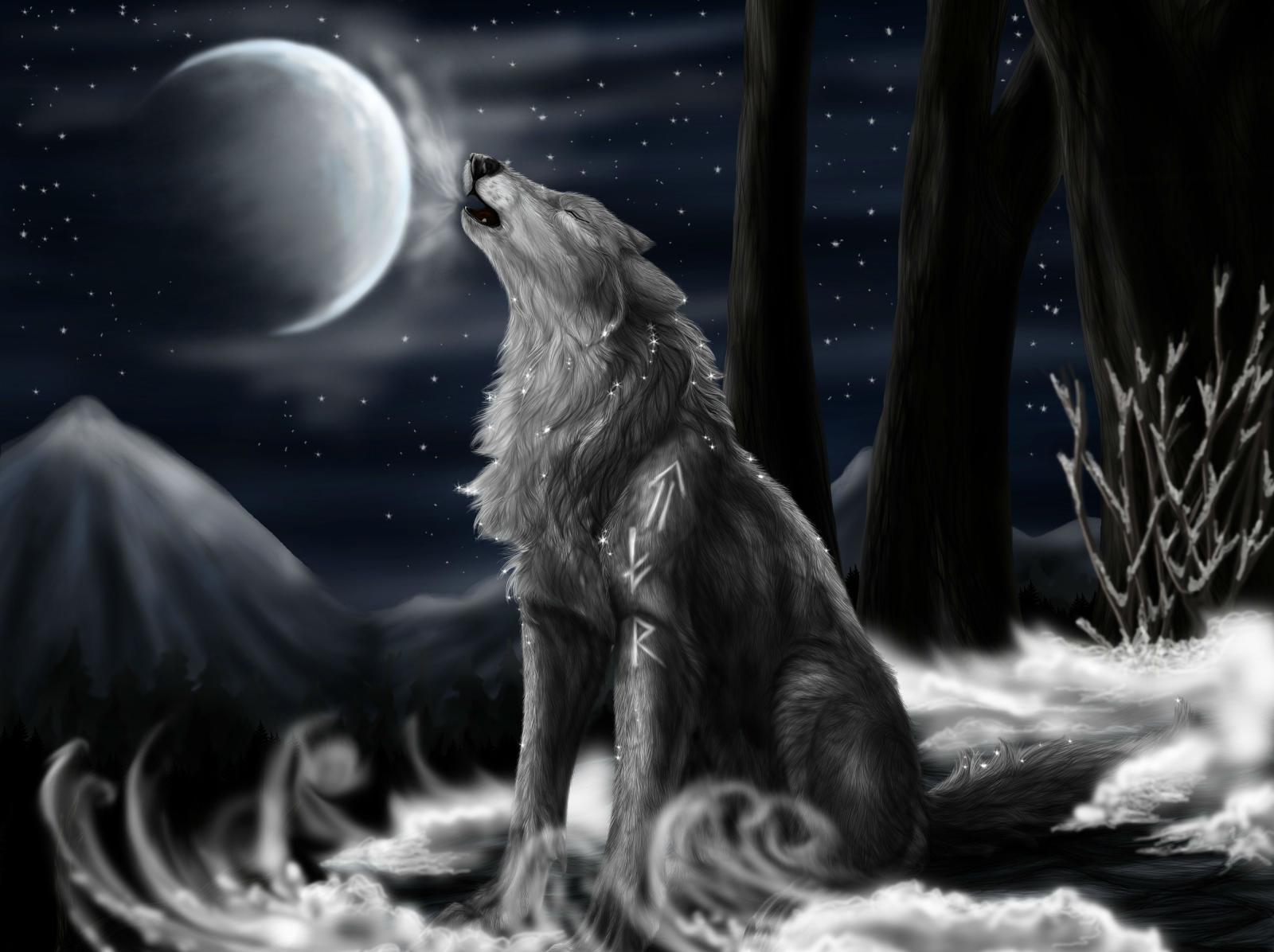 4000x2990 112 4K Ultra HD Wolf Wallpapers | Background Images