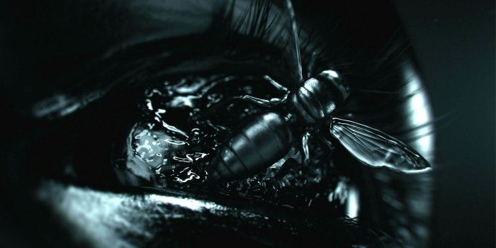 2560x1440 Evil skull wallpapers Gallery
