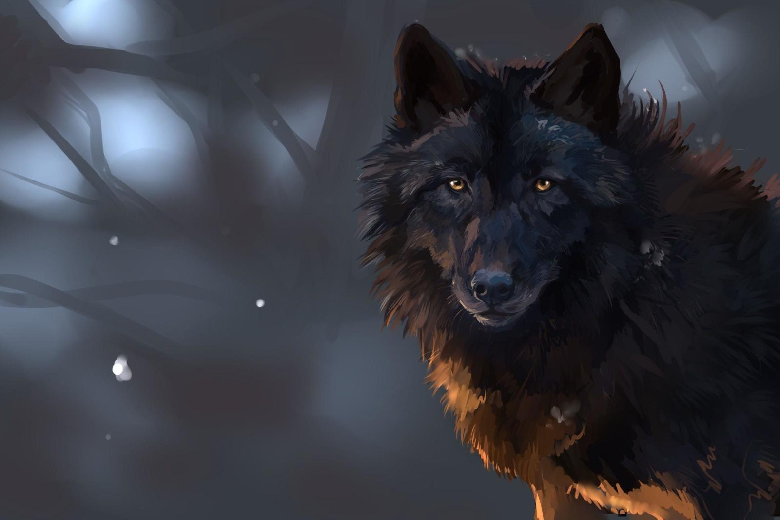 3000x2000 Black Wolf Wallpaper (30 + Background Pictures)