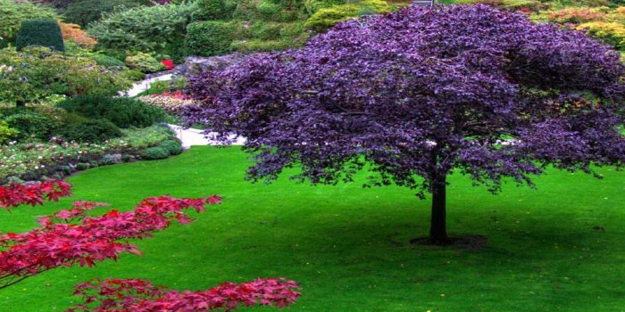 1024x768 Beautiful Garden Wallpapers