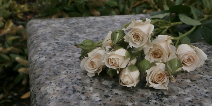 1600x1080 Roses Bouquet White Flower Wallpapers For Windows - Garden Roses, Hd