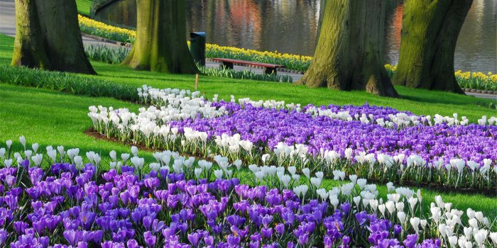 1920x1200 Flower Gardens Wallpapers (59+ images)