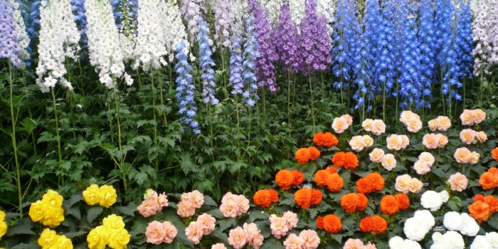 1600x1200 Flower Garden Wallpaper Free - Flowers Healthy