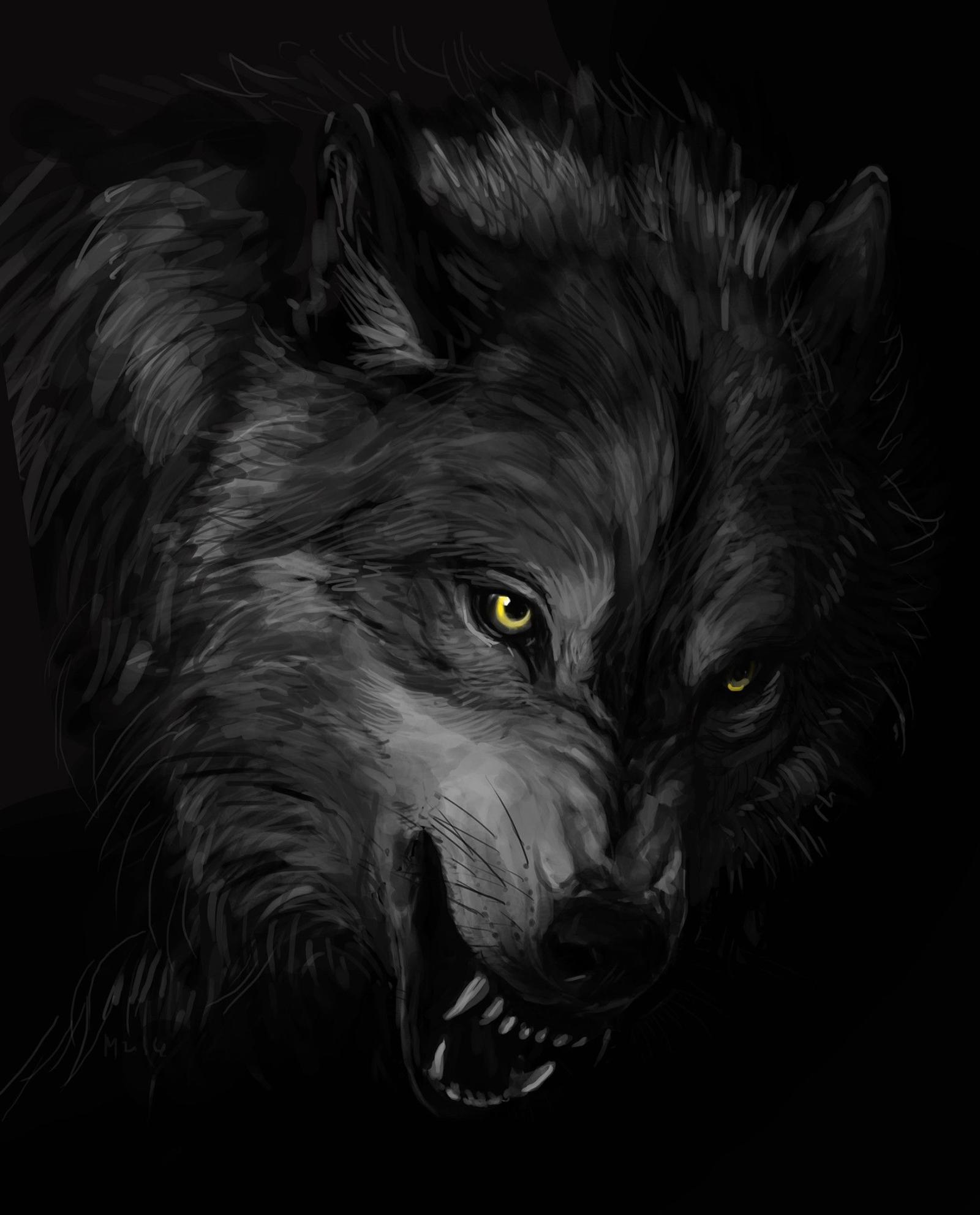 1754x2175 Black Wolf Wallpaper (30 + Background Pictures)