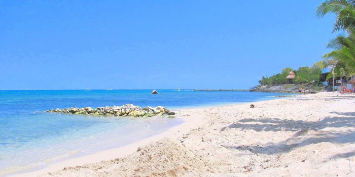 2179x1443 Beach Nature Shoreline Palm Pcean Mexico Blue Cozumel Sunny Tropical