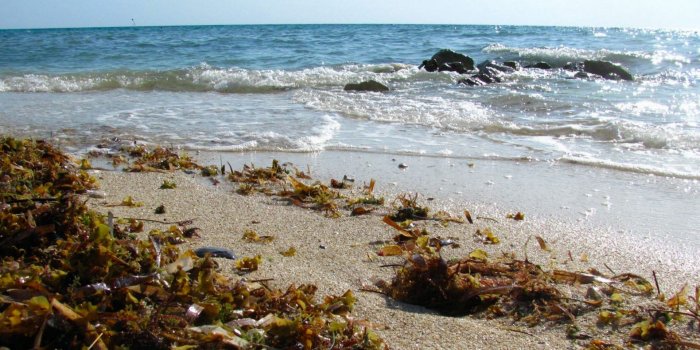 1920x1080 Mexico Tag wallpapers Page 2: Mexico Beautiful Dock Blue Ocean Sea