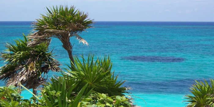 1920x1080 Mexico Beach Desktop Wallpaper 2018_Funny Wallpapers_download free