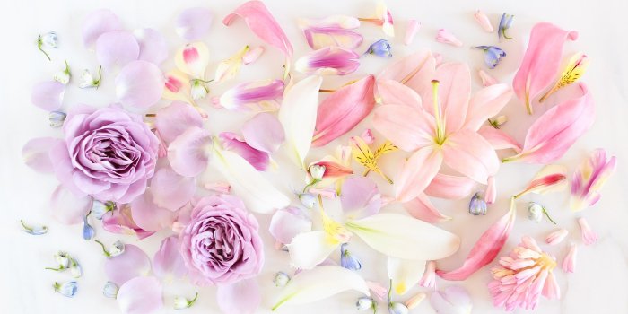 2560x1707 DIGITAL BLOOMS JUNE 2018 | FREE DESKTOP WALLPAPERS - JustineCelina