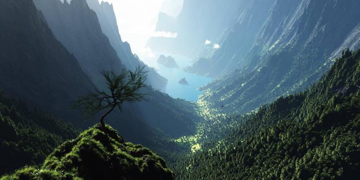 2560x1440 1440p Backgrounds Free Download