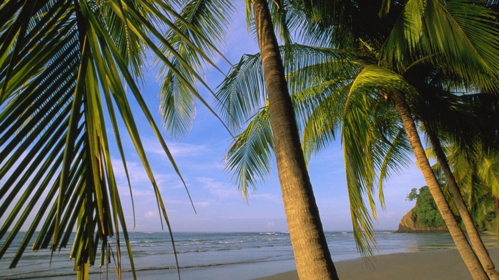 1920x1080 Samara Beach Costa Rica Sea Waves Palm Trees Blue Nebo Mexico
