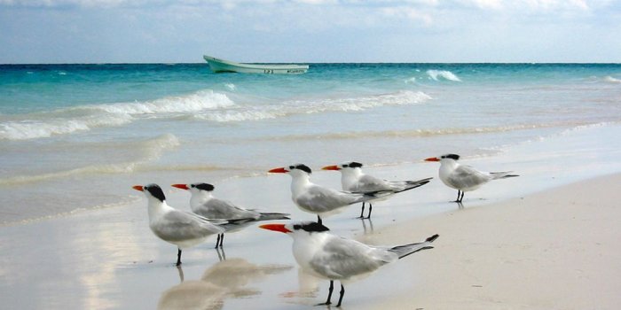 1024x768 Mexico Wallpapers: San Christobal, Salina Cruz, Chichen Itza, Tulum