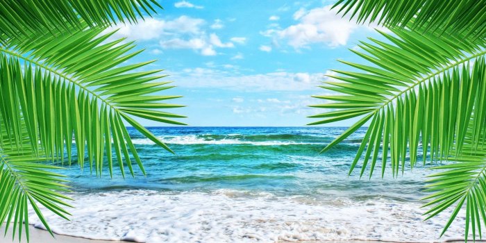 1600x1200 CLIPART WALLPAPER BLINK - Tropics Clipart mexican beach 3 - 1600 X