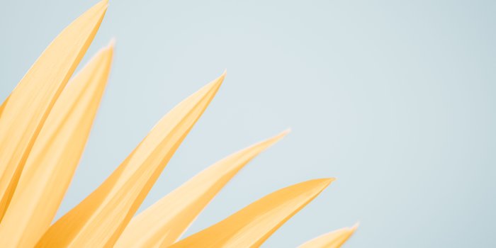 6000x4000 Cute Pastel Desktop Wallpaper_hd wallpaper_download free wallpaper