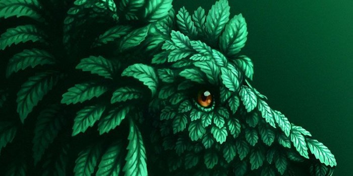 750x1334 18332 cool iphone wallpapers hd