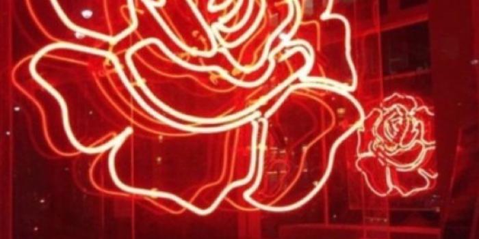 750x1333 Reminds me of my past. | Daisy Buchanan | Billie eilish, Song lyrics