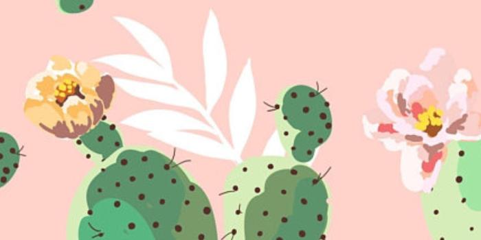 1242x2208 59+ Pear Wallpapers on WallpaperPlay