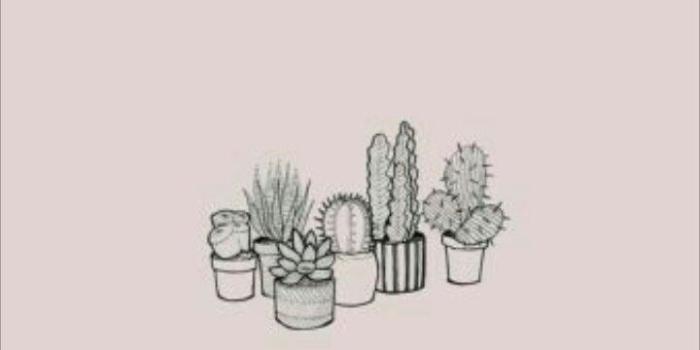 720x1280 Cactus fond rose pale | Thoughts + Wallpaper in 2019 | Lock screen