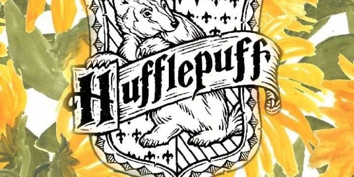 719x1280 pin: @maddieX7 | harry potter | Harry potter, Harry potter wallpaper