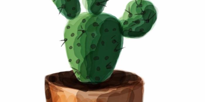 920x1256 Pin By Charlotte Yaklich On Painting And Drawing In - Aesthetic