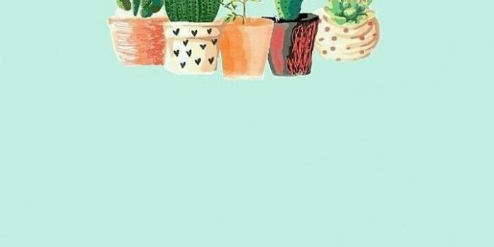 720x1280 Lizzie LaCoss on Aesthetic wallpapers in 2019 | Iphone